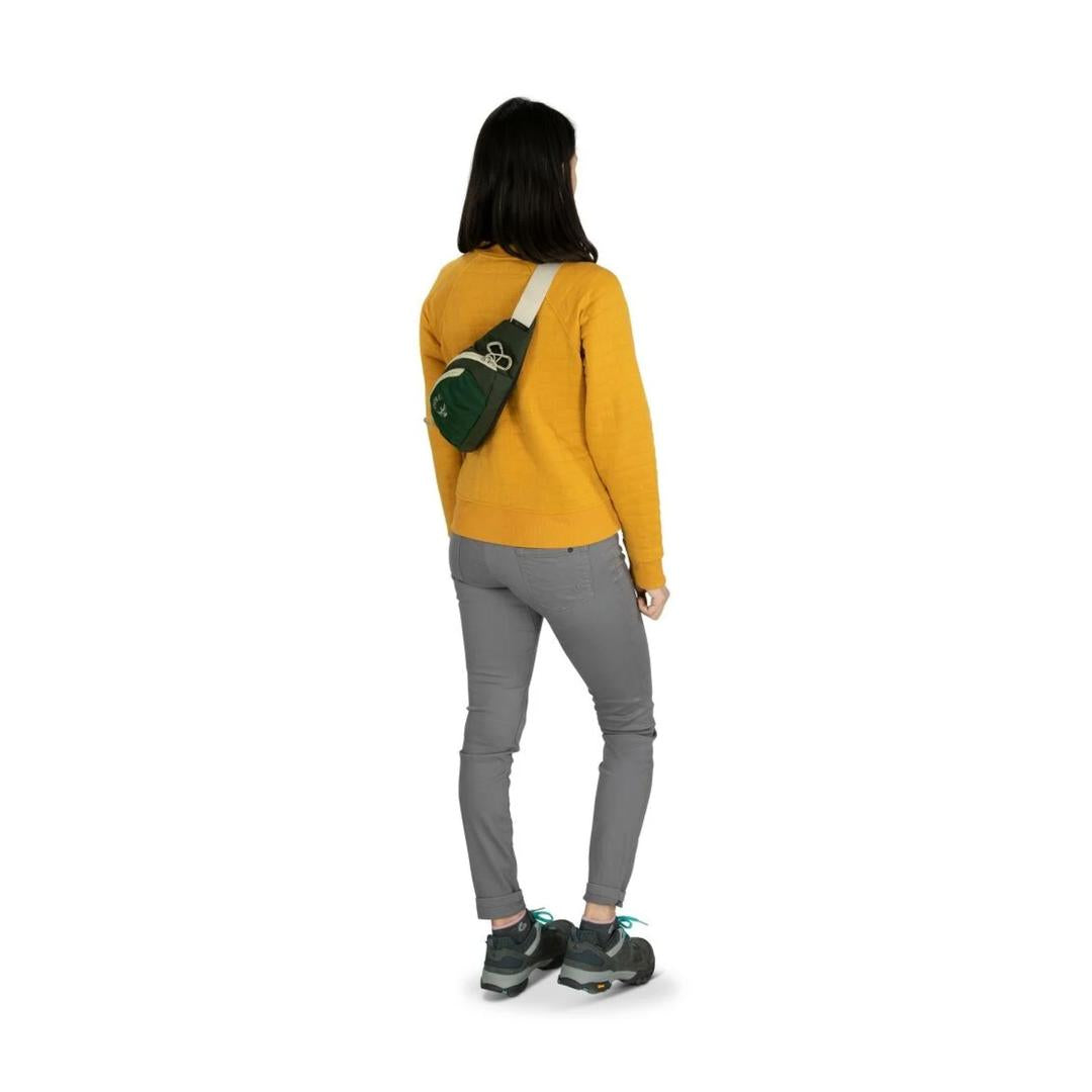 Waistpack
