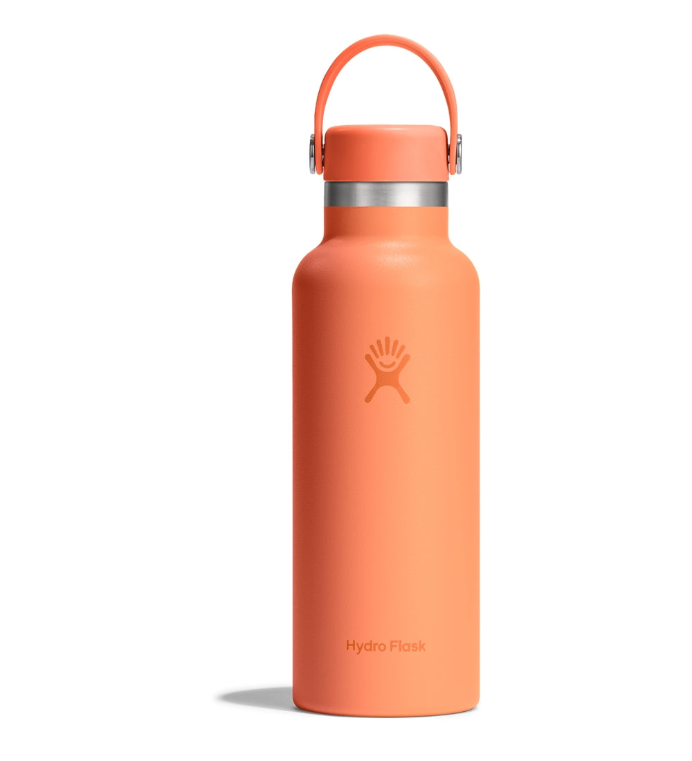 HYDRO FLASK Standard Flex Cap Water Bottle