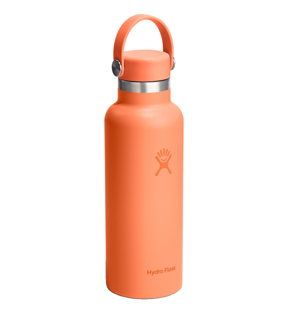 HYDRO FLASK Standard Flex Cap Water Bottle