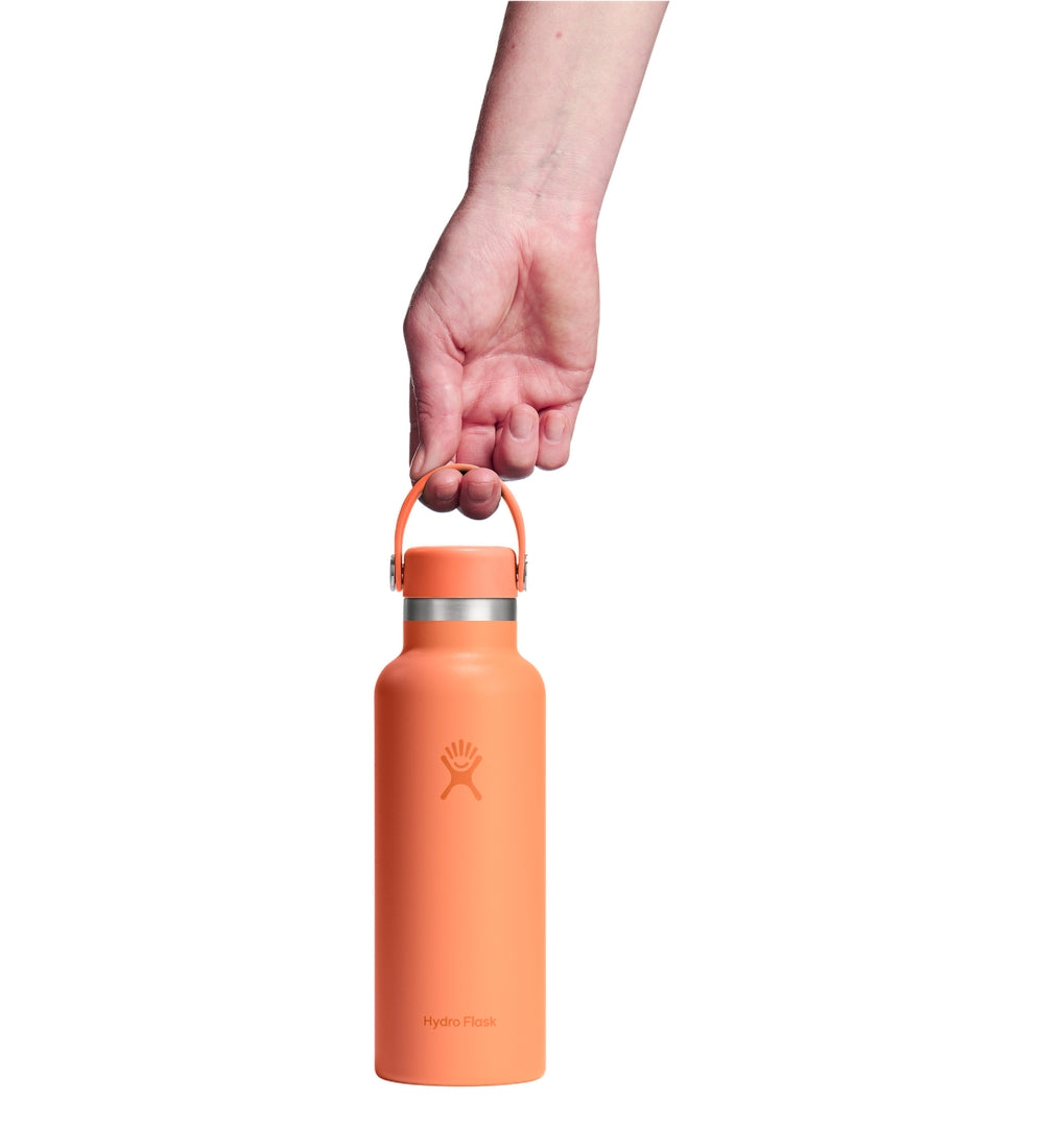 HYDRO FLASK Standard Flex Cap Water Bottle