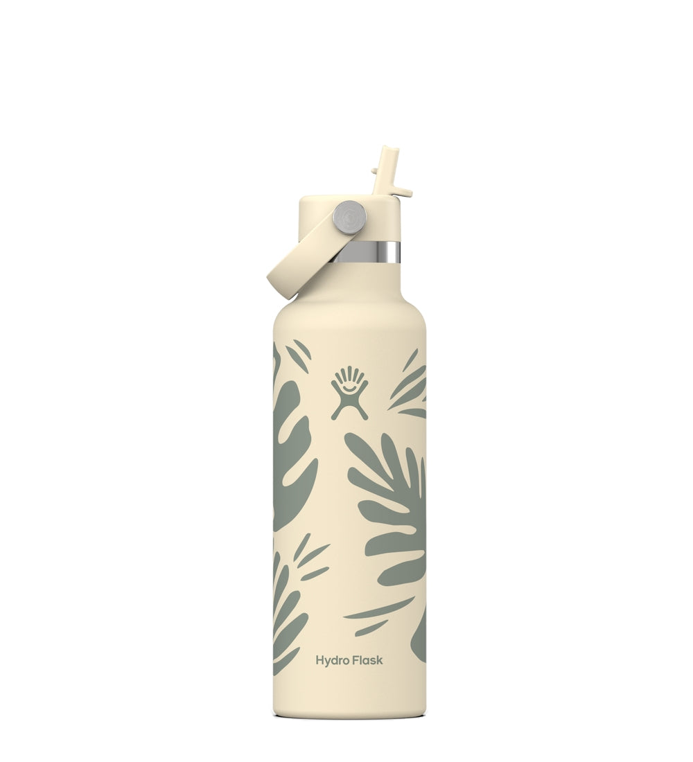 HYDRO FLASK Standard Flex Straw Cap Water Bottle