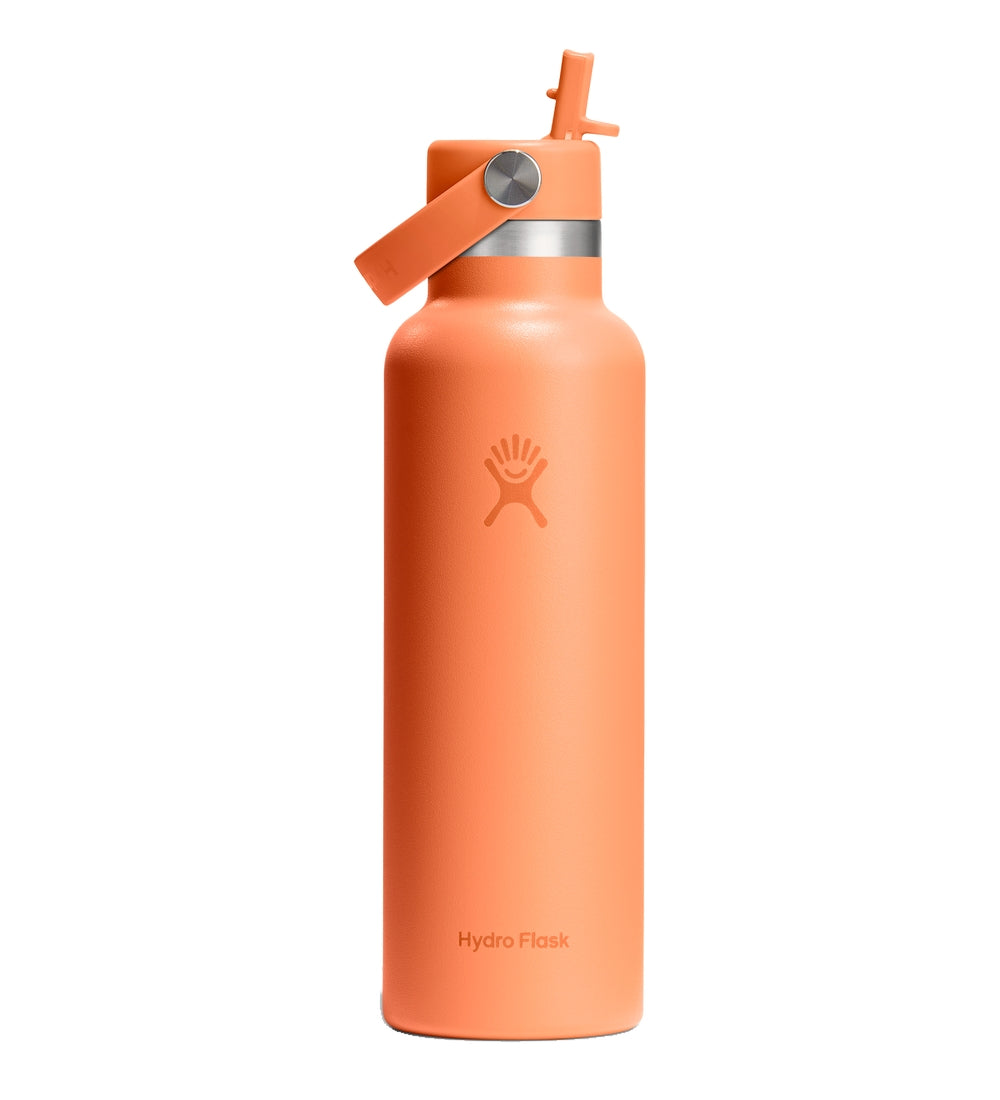 HYDRO FLASK Standard Flex Straw Cap Water Bottle