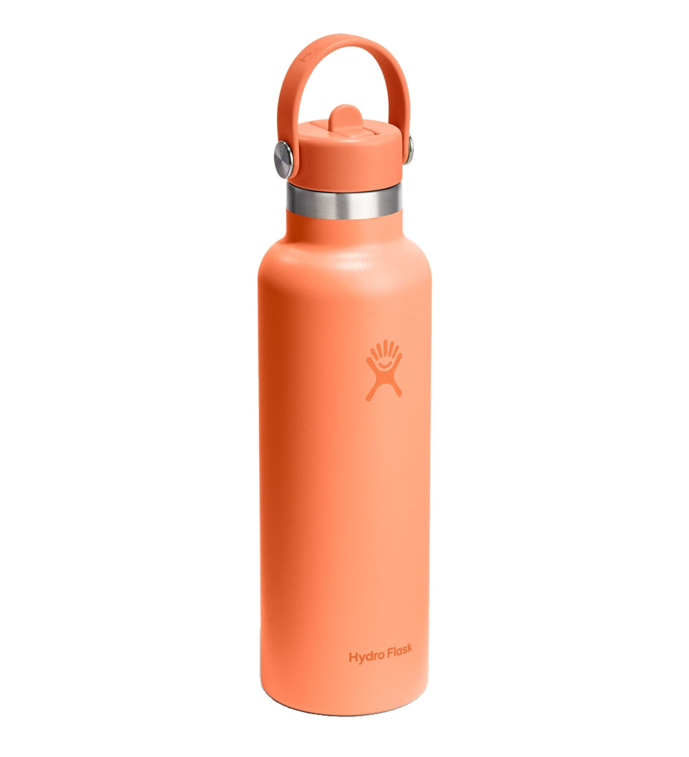 HYDRO FLASK Standard Flex Straw Cap Water Bottle