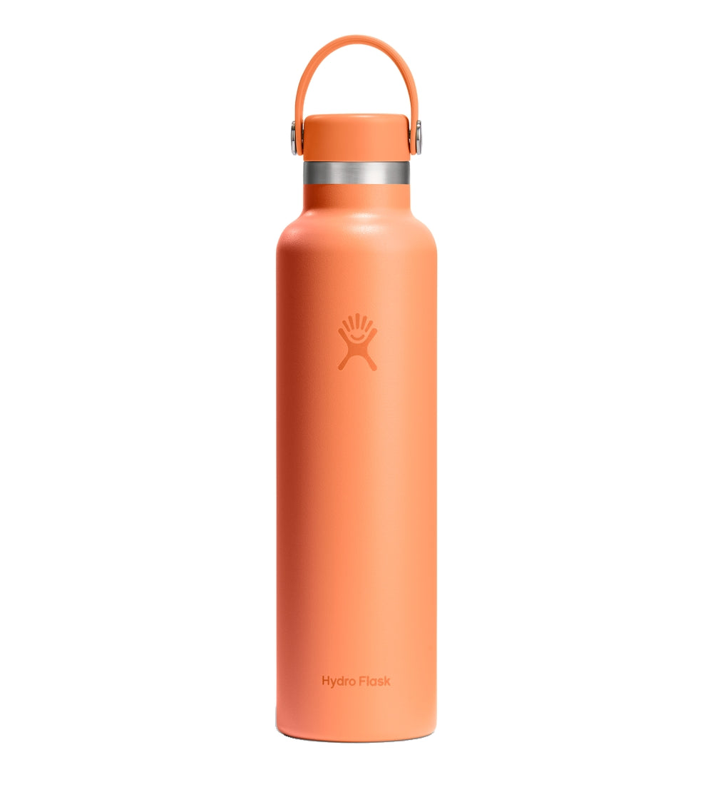 HYDRO FLASK Standard Flex Cap Water Bottle