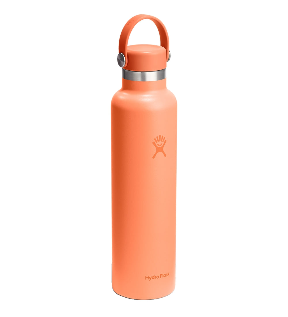 HYDRO FLASK Standard Flex Cap Water Bottle