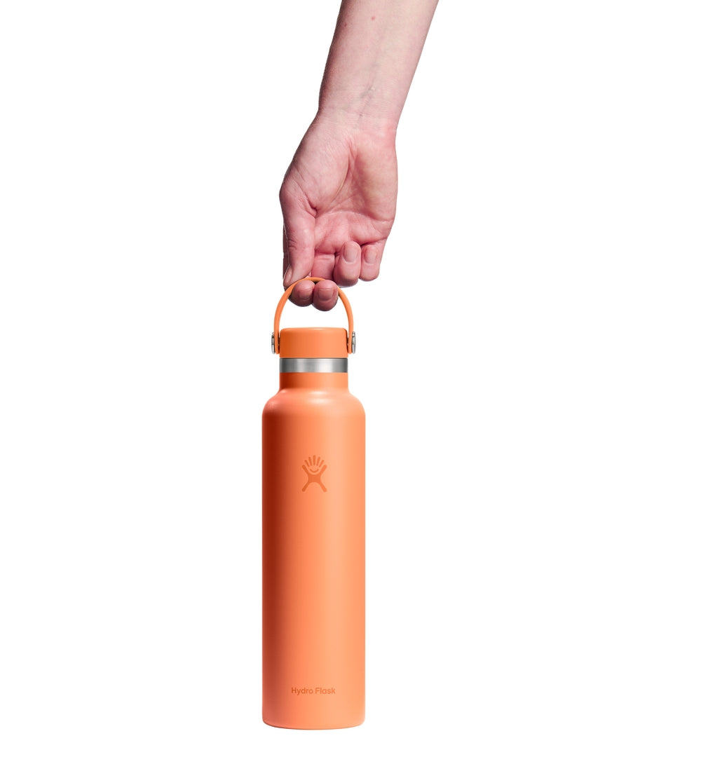 HYDRO FLASK Standard Flex Cap Water Bottle