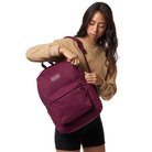 JANSPORT Superbreak Plus Fx Backpack