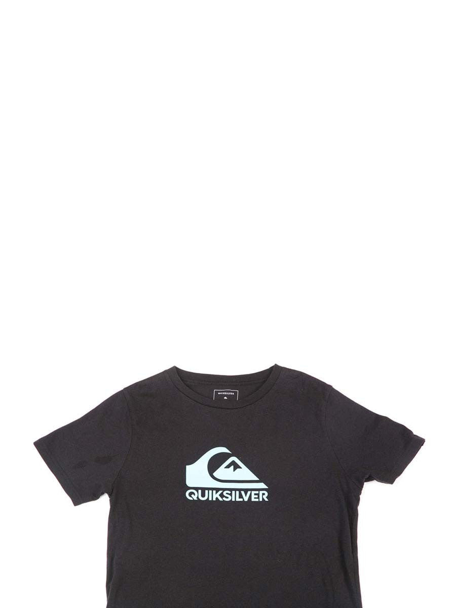QUIKSILVER Quiksilver As Basic Logo Id Shirt