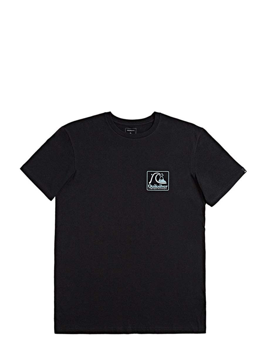 QUIKSILVER Quiksilver Beachtonesssid Tees
