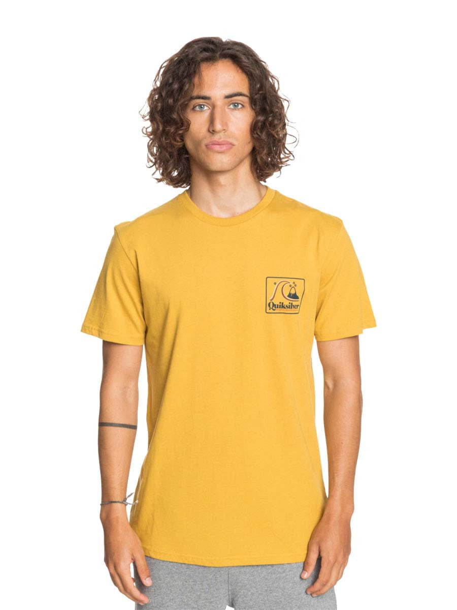 QUIKSILVER Quiksilver Beachtonesssid Tees