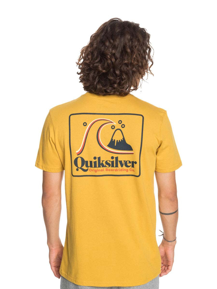QUIKSILVER Quiksilver Beachtonesssid Tees