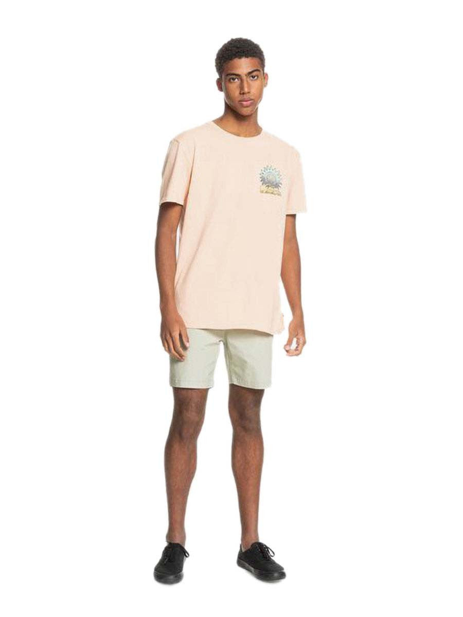 QUIKSILVER Quiksilver Islandpulsess Tees