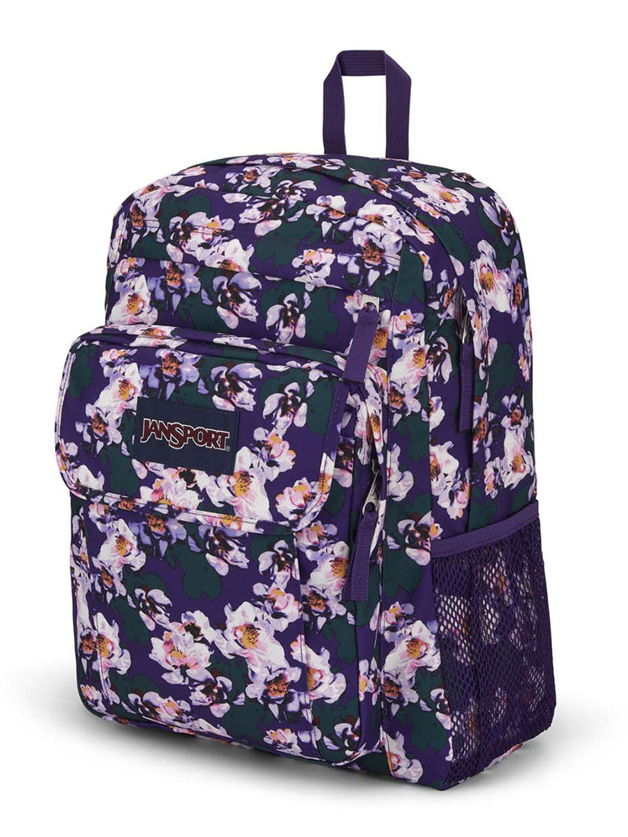 JANSPORT Union Pack Backpack