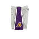 Mitchell And Ness Mitchell And Ness 75th Silver Swingman Sportshort Slvr MN4311LAL09PPPSILVS
