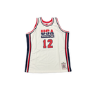 Mitchell And Ness Mitchell And Ness Auth Jersey Team Usa Sporttop Wt MN19085USAWHIT92JSTS
