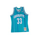 MITCHELL AND NESS Mitchell And Ness Swing Jersey Charlot Sporttop Teal MN18148CHOTEALAMO92M