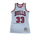 Mitchell And Ness Mitchell And Ness Swing Jersey Platinu Sporttop Slvr MN18476CBUSILV97SPIS