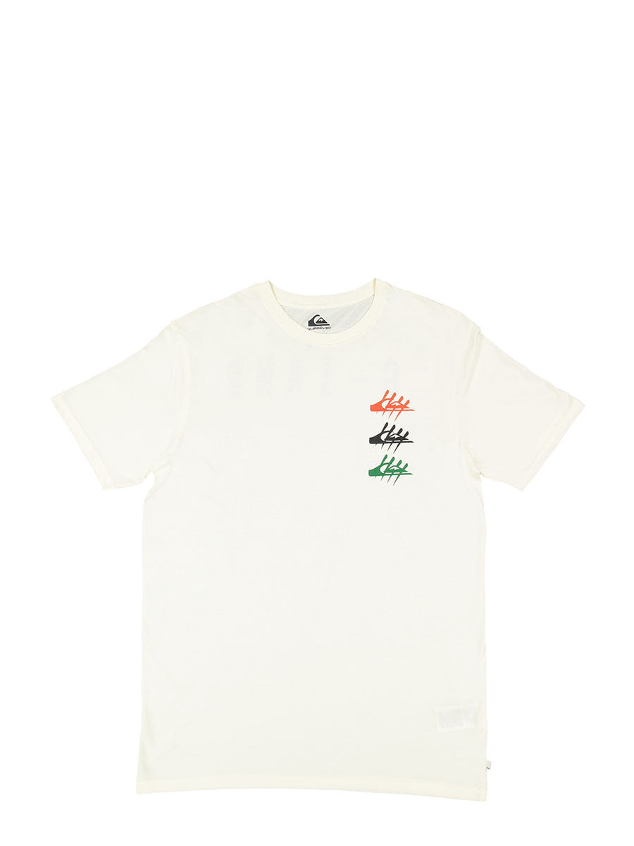 QUIKSILVER Quiksilver GLandtypeSS Tees
