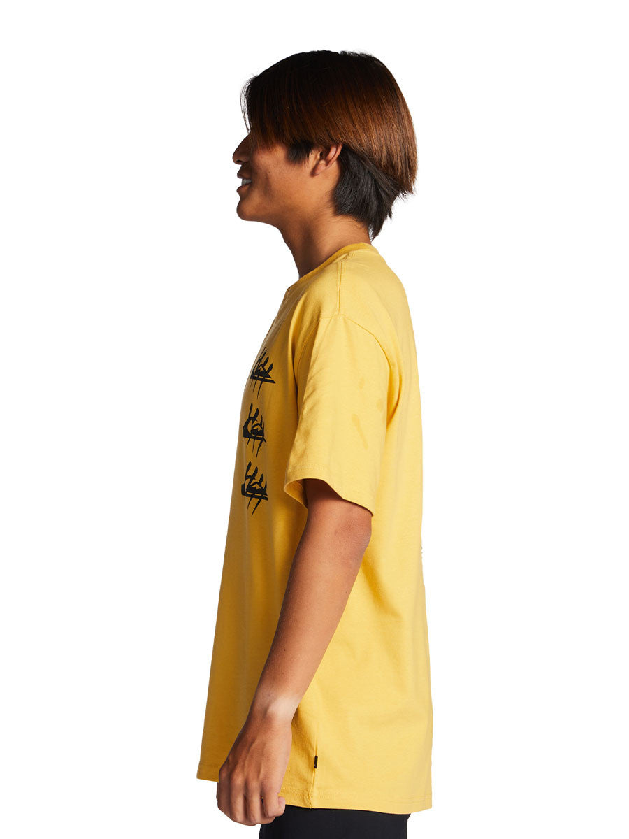 QUIKSILVER Quiksilver GLandtiger Tees