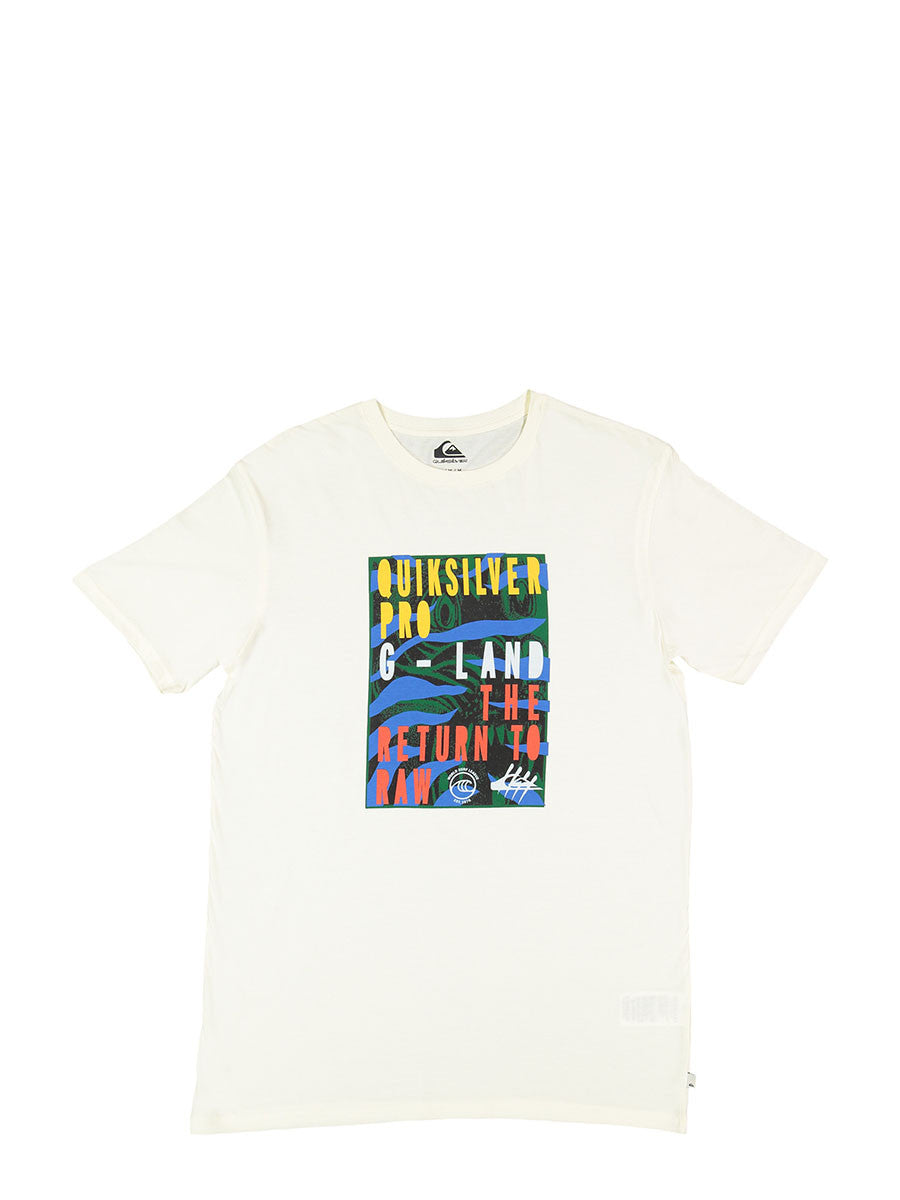 QUIKSILVER Quiksilver GLandposter Tees