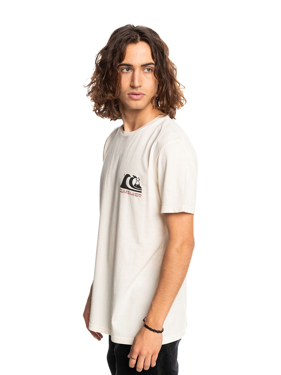 QUIKSILVER Quiksilver Wavyminds Tees