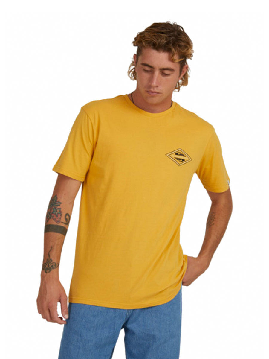 QUIKSILVER Reverse Logo SS Tees