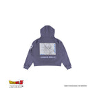 DONT BLAME THE KIDS APPAREL CO CAPSULE CORP HOODIE